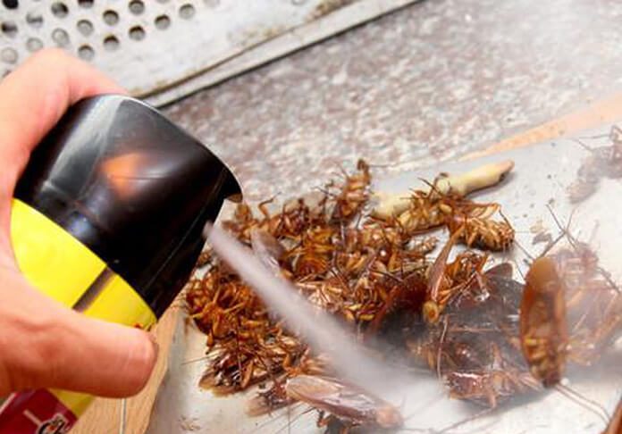 Thủ tục xin cấp phép quảng cáo chế phẩm diệt côn trùng
